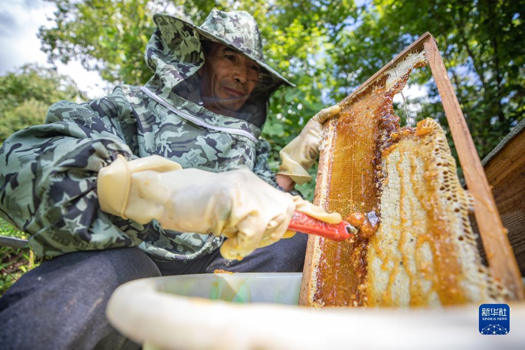 850打鱼破解